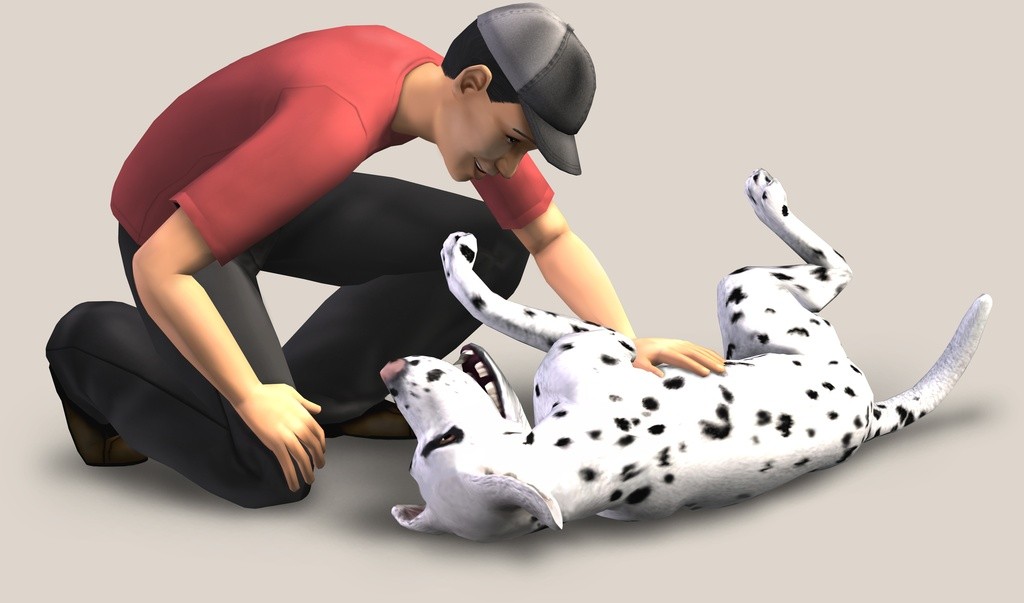 Pets2.jpg